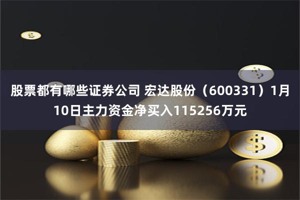股票都有哪些证券公司 宏达股份（600331）1月10日主力资金净买入115256万元